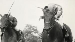 Safely Kept Test Stakes Bob Coglianese